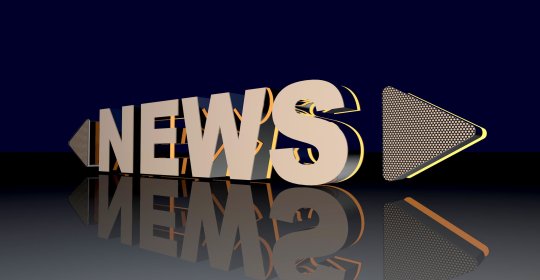 						News Malta, Brill Bird Malta Malta